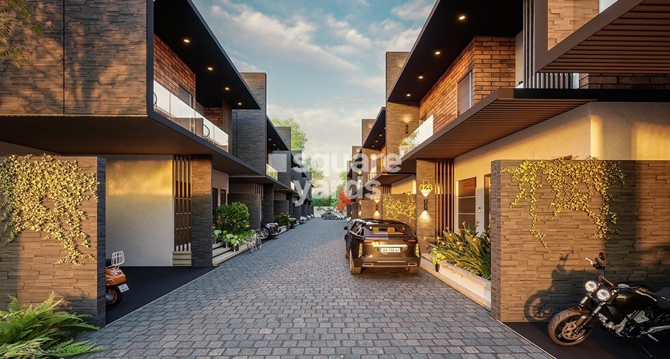 Saiven Mulberry Groves