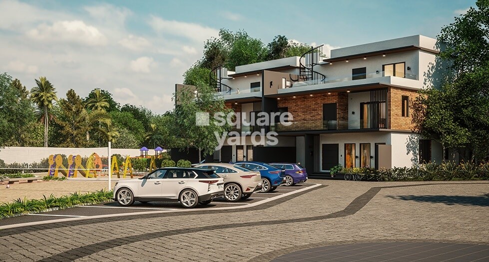 Saiven Mulberry Groves