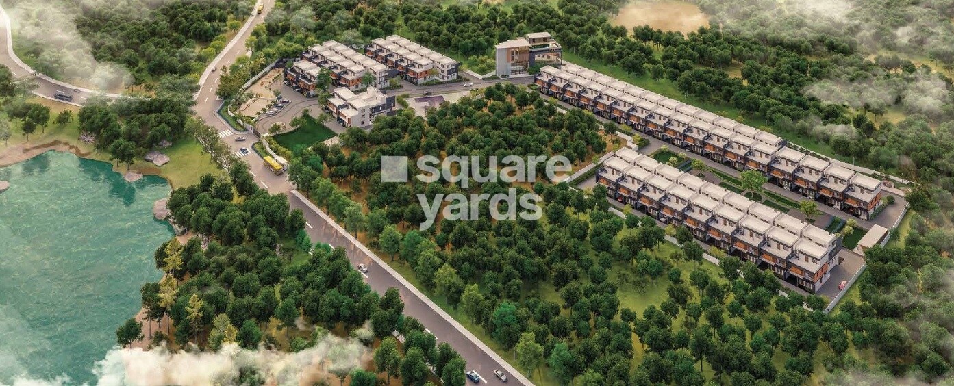 Saiven Mulberry Groves