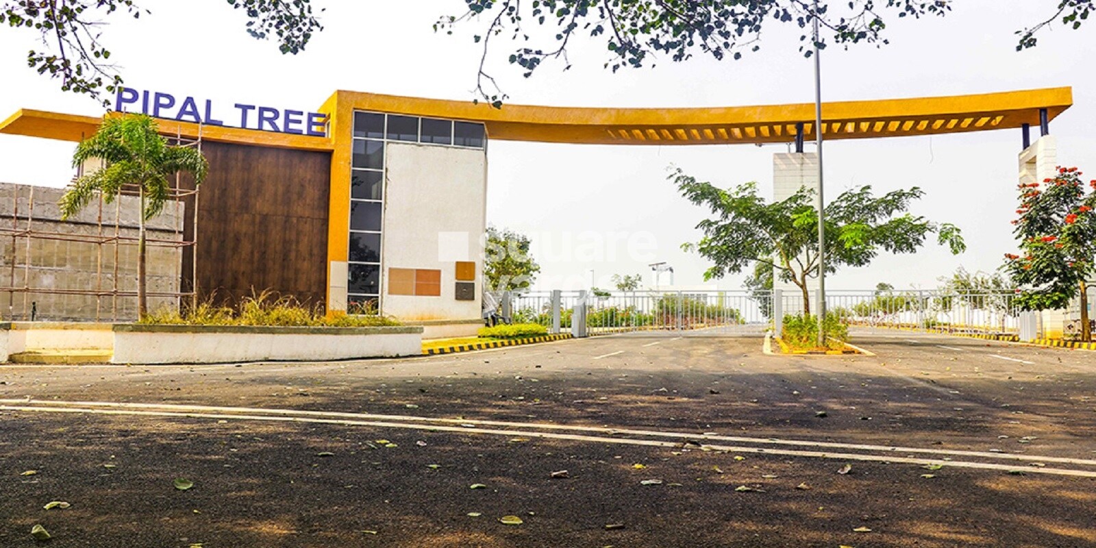 salarpuria-pipal-tree