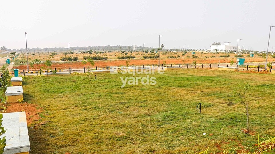 Salarpuria Pipal Tree