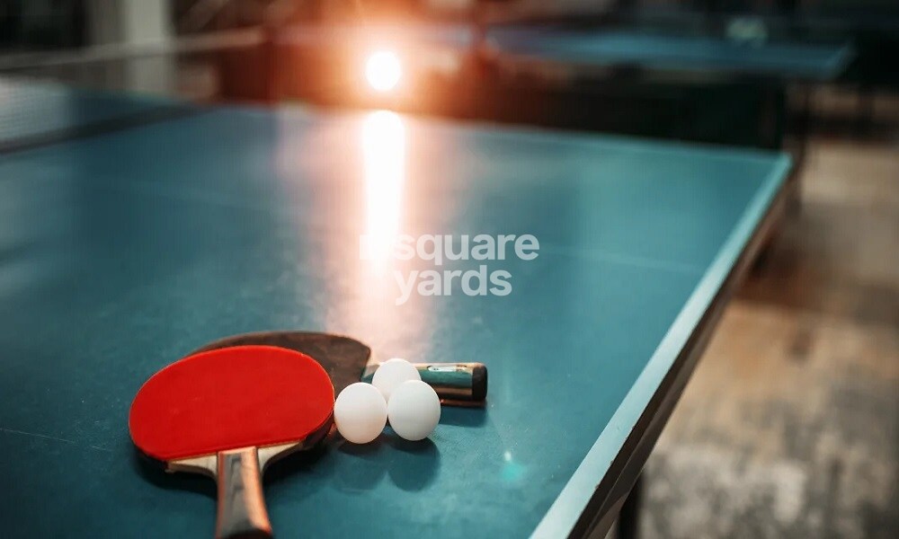 Salarpuria Sattva Bliss Sports facilities Image 5