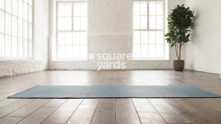 Salarpuria Sattva Divinity Amenities-Features 1