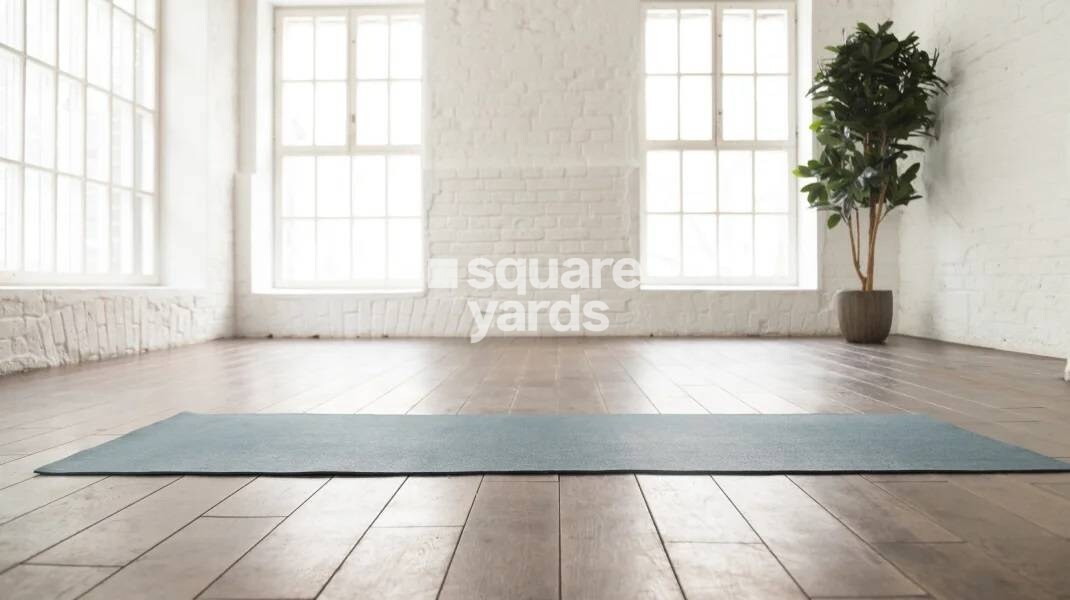 Salarpuria Sattva Divinity Amenities-Features 1