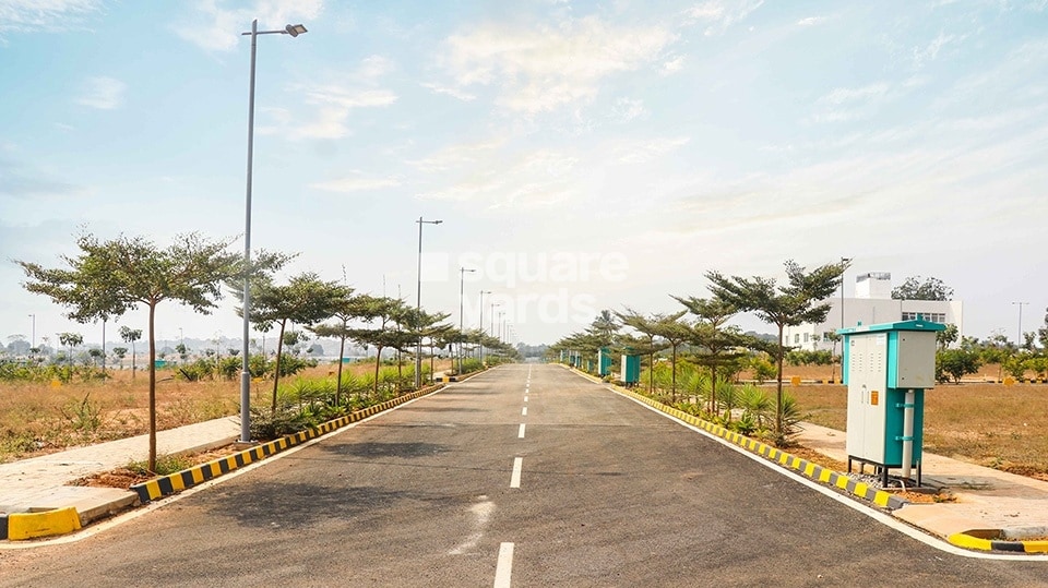 Salarpuria Sattva Pipal Tree