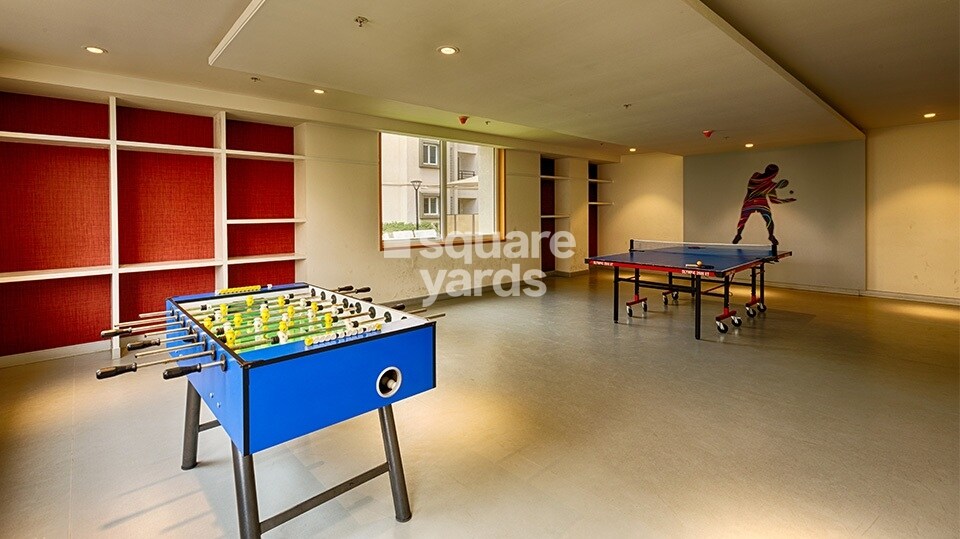 Salarpuria Sattva Senorita Amenities-Features 3