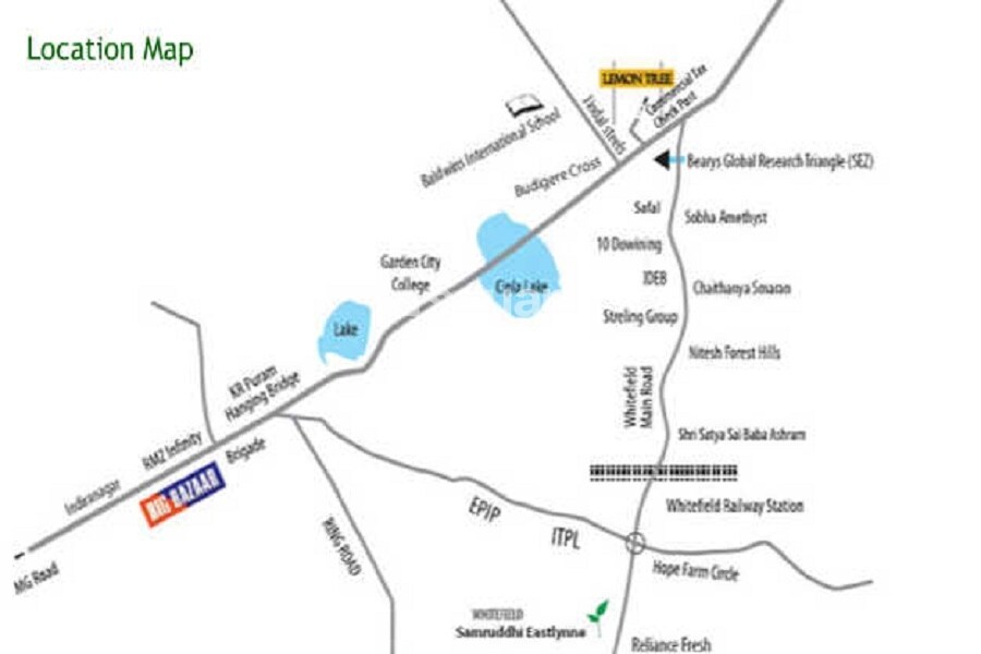 Samruddhi Lemon Tree