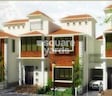 Samruddhi Lemon Tree