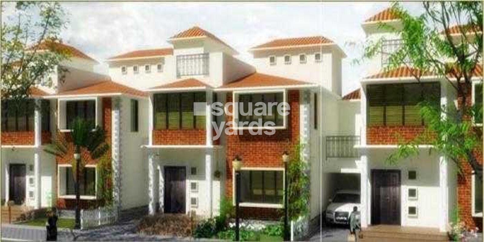 Samruddhi Lemon Tree