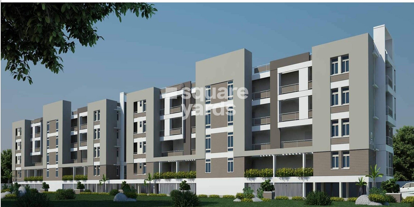 Saroj Tulip Featured Image