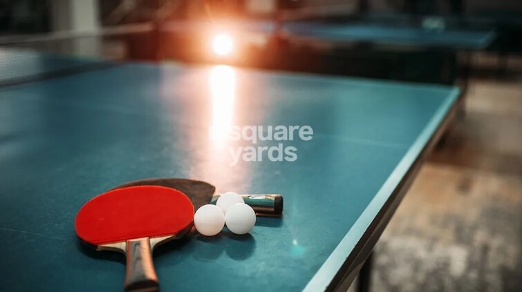 Sattva La Vita Sports facilities Image 3