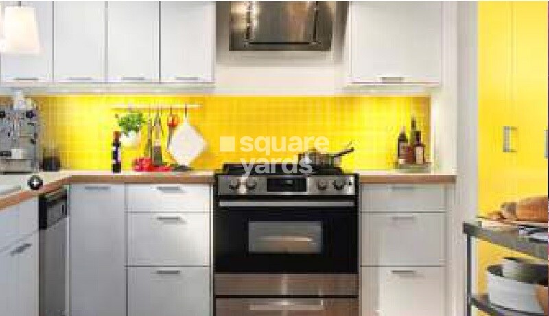 SDS Crystal Paradise