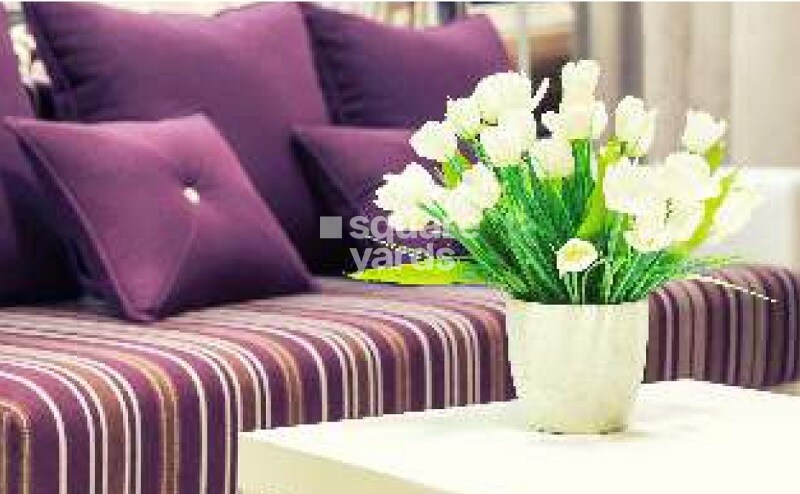 SDS Crystal Paradise