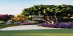 Shrinika Homes Plot Amenities Features