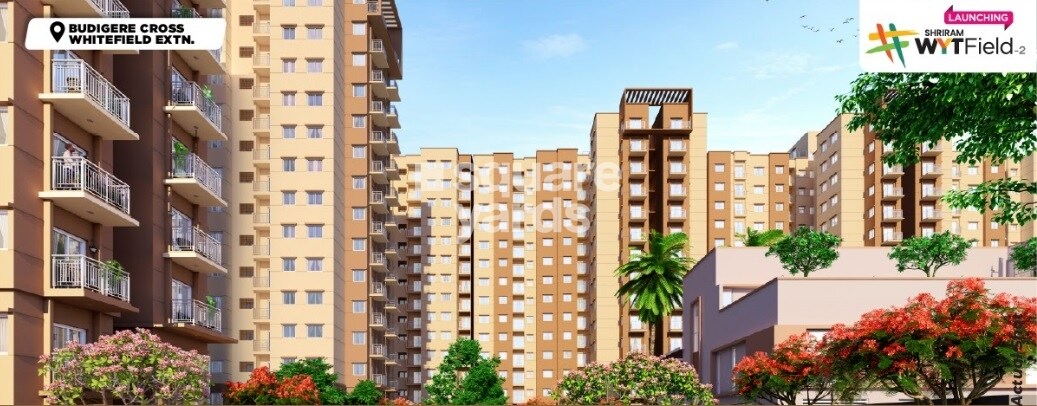 Shriram WYT Field Phase 2