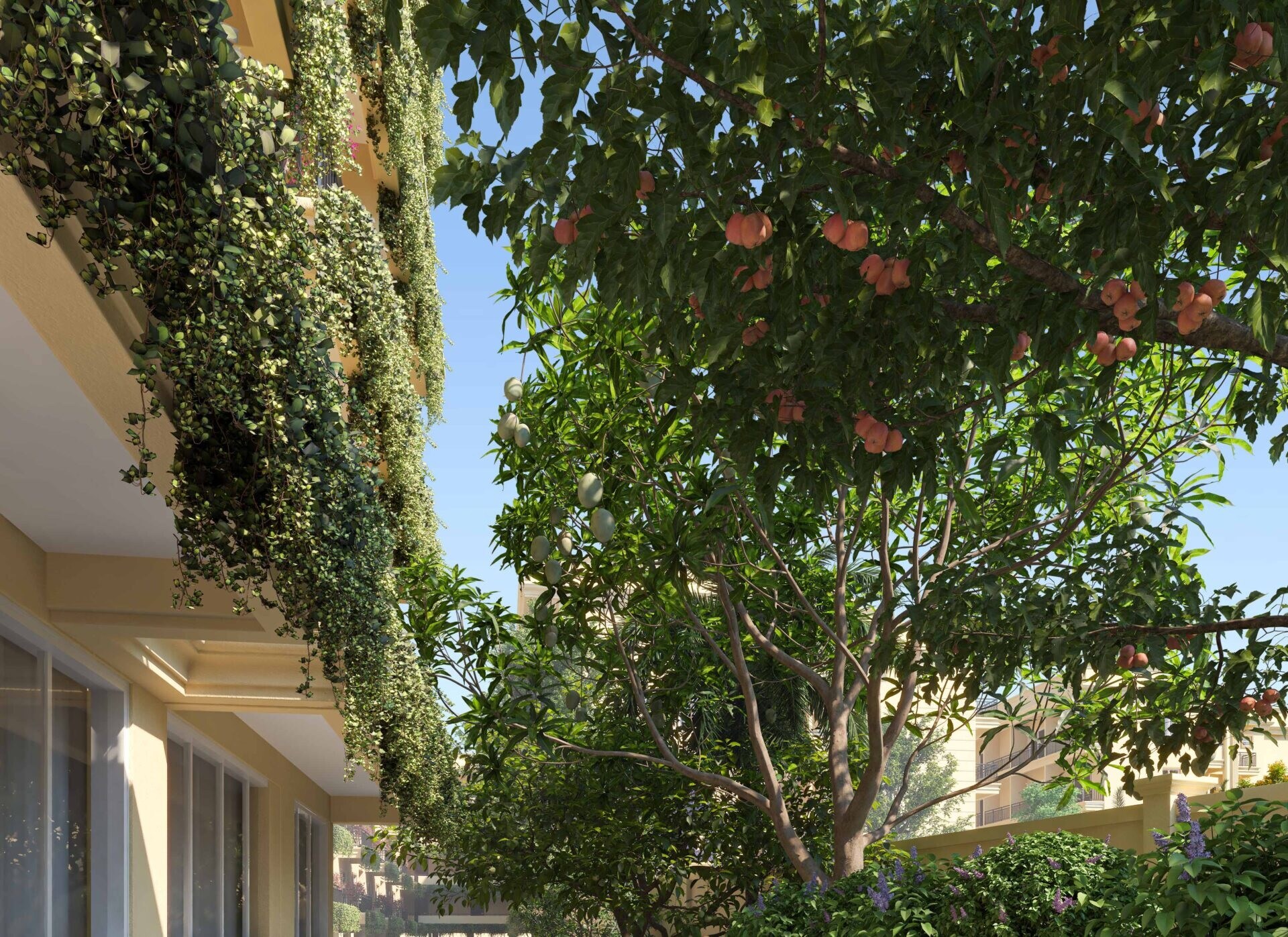 Signature Pristine Greens Image