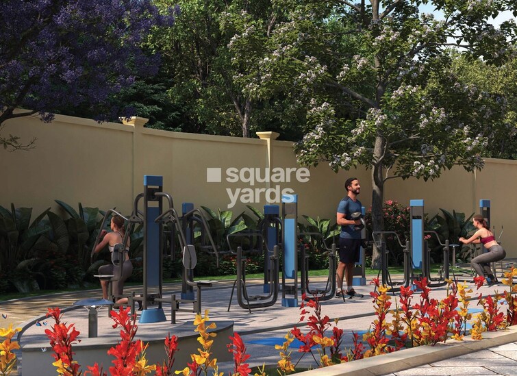 Signature Pristine Gymnasium Image