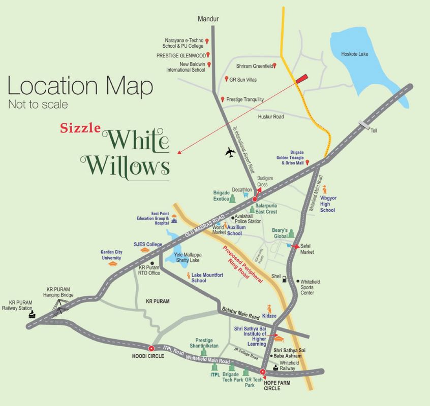 Sizzle White Willows