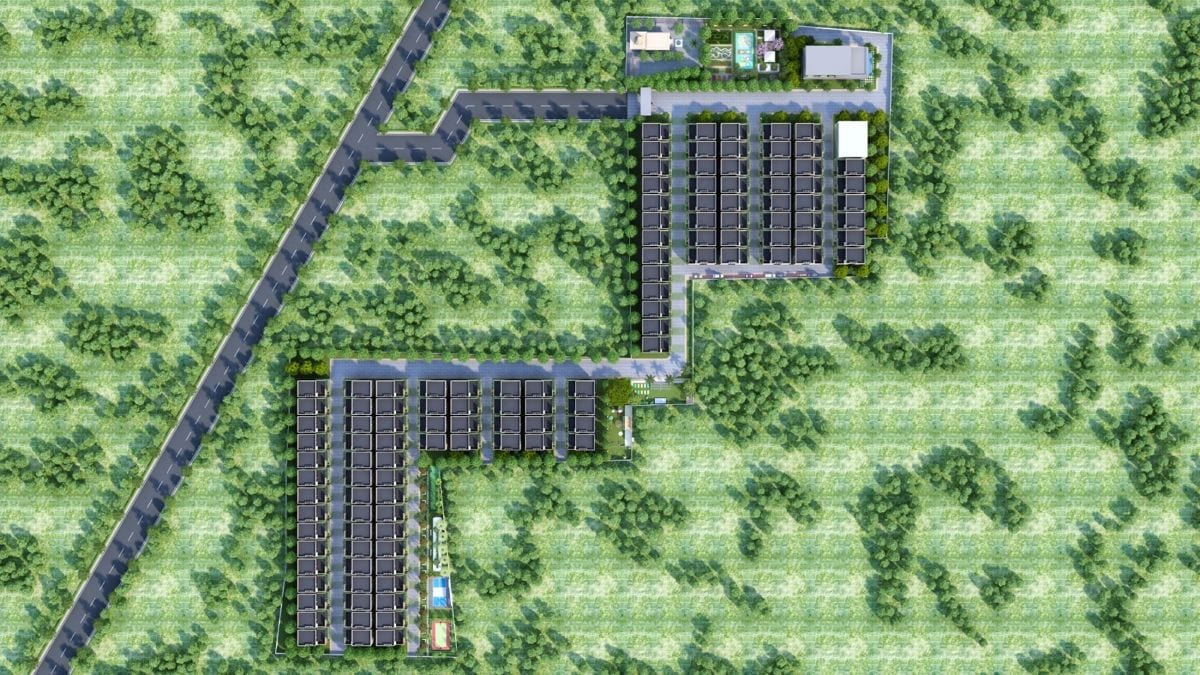 SJ-Park-Ville_a grassy area with a bunch of green grass