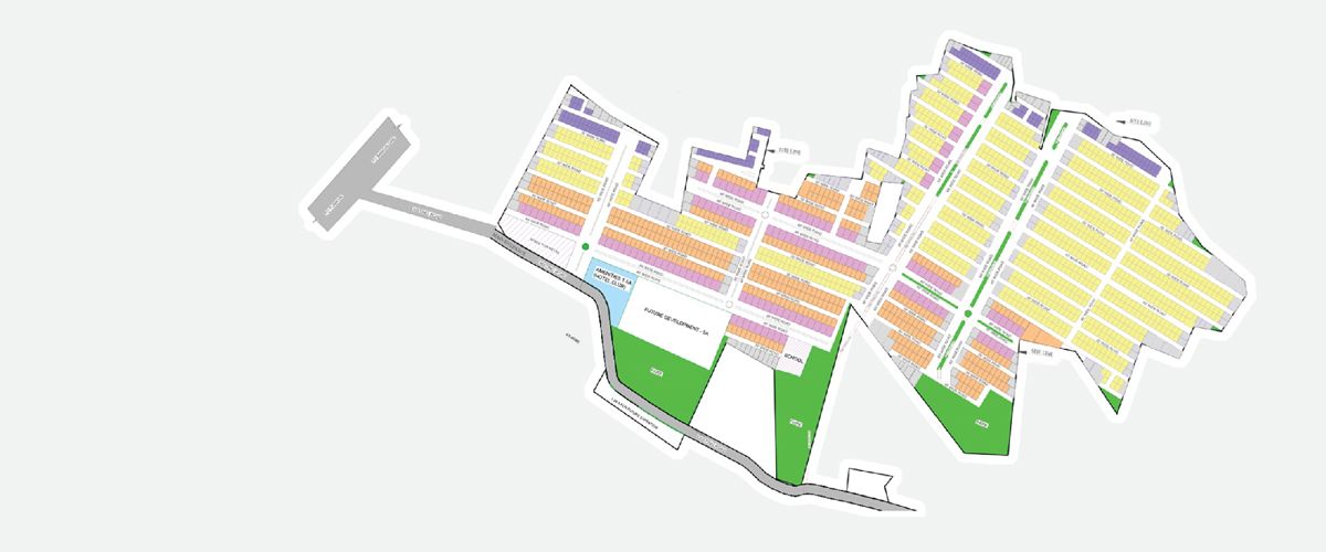 SJR-Vivo-City_a variety of colorful kites in the shape of birds