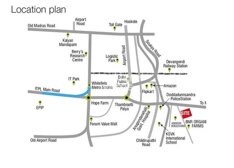 SKH Echium Location Image