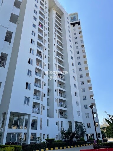 Skylark Esta Tower View 6