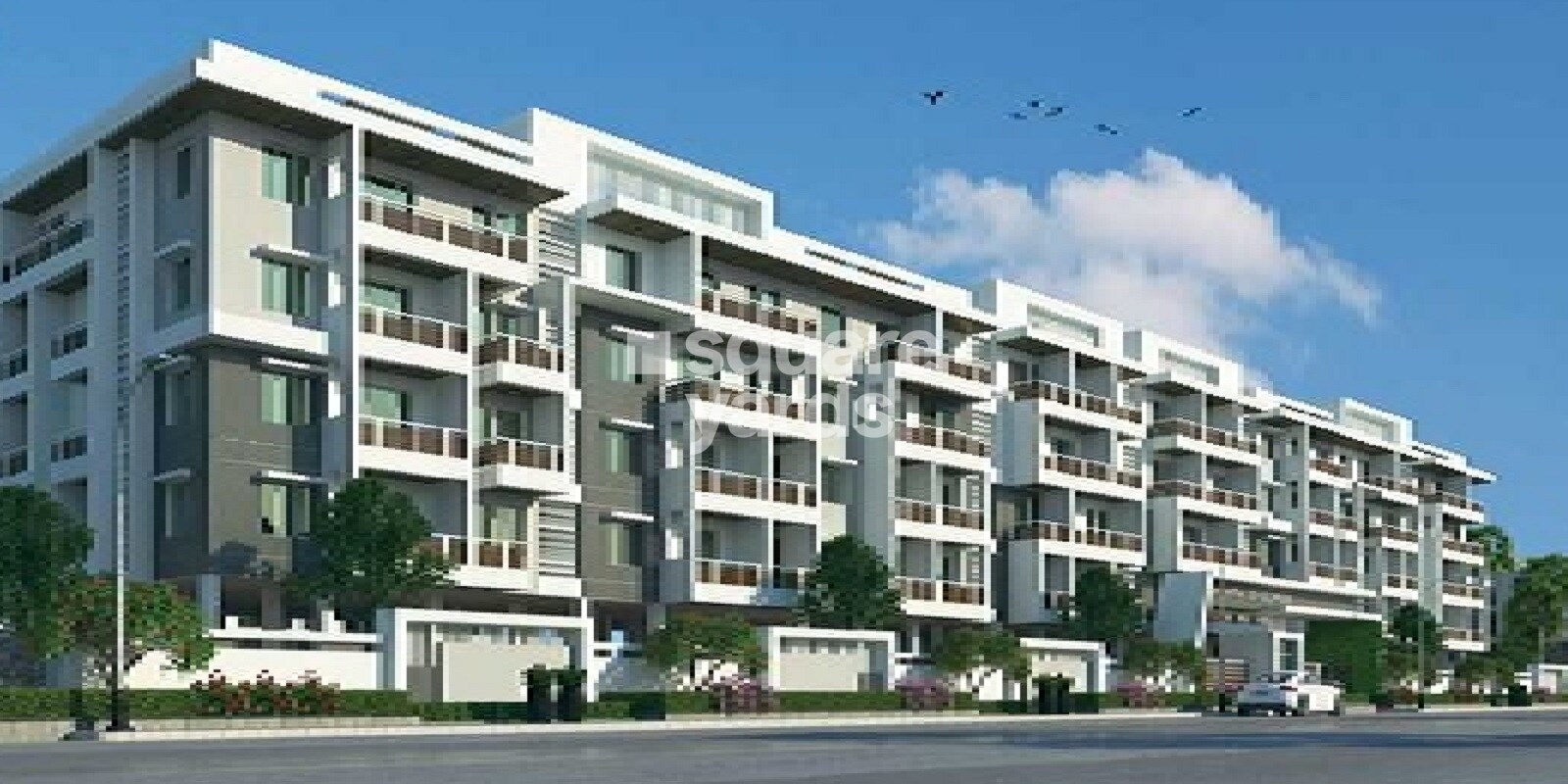 SM Platina Featured Image