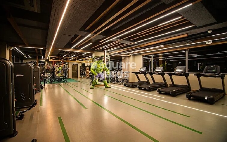 SNN Clermont Gymnasium Image