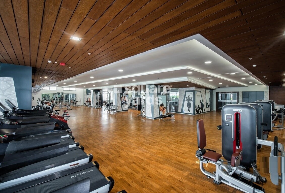 SNN Raj Serenity Gymnasium Image