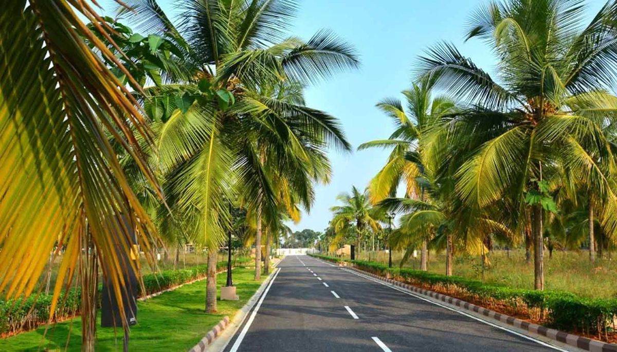 Sobha Chartered Birdsong Plot Images 2