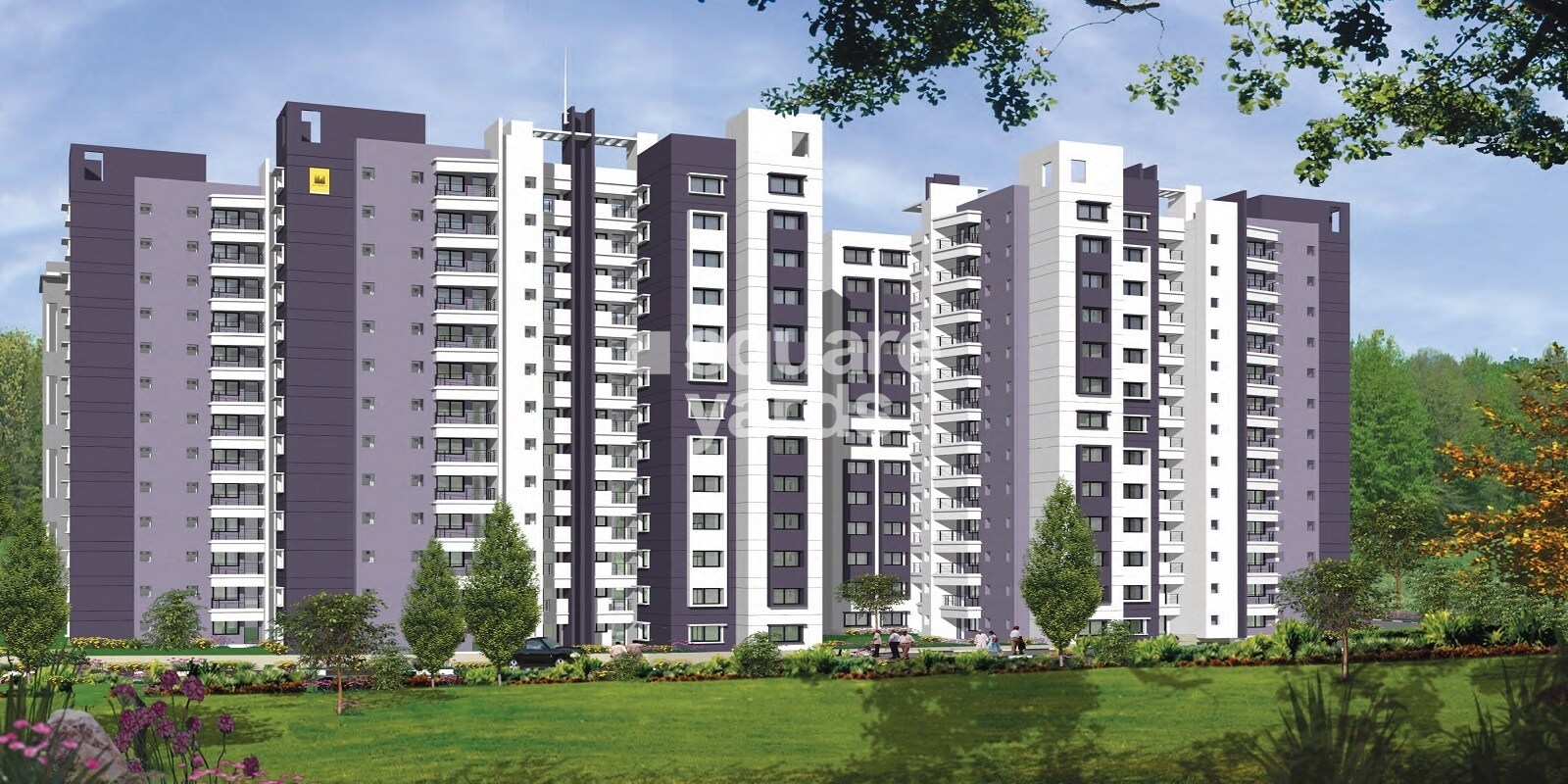 Sobha Chrysanthemum