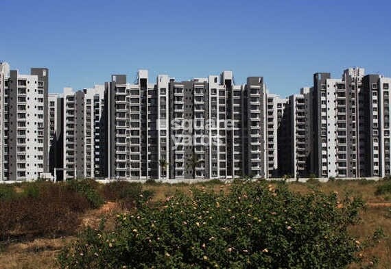 Sobha Chrysanthemum Tower View 1