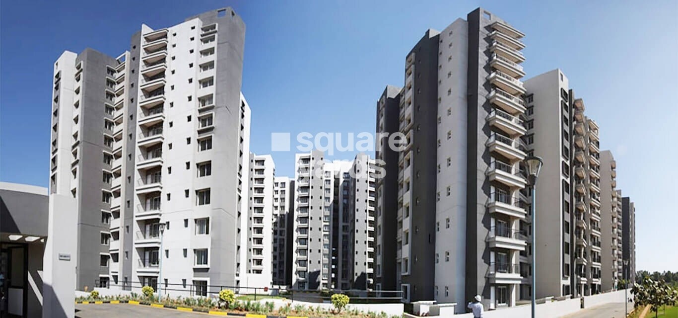 Sobha Chrysanthemum Tower View 2