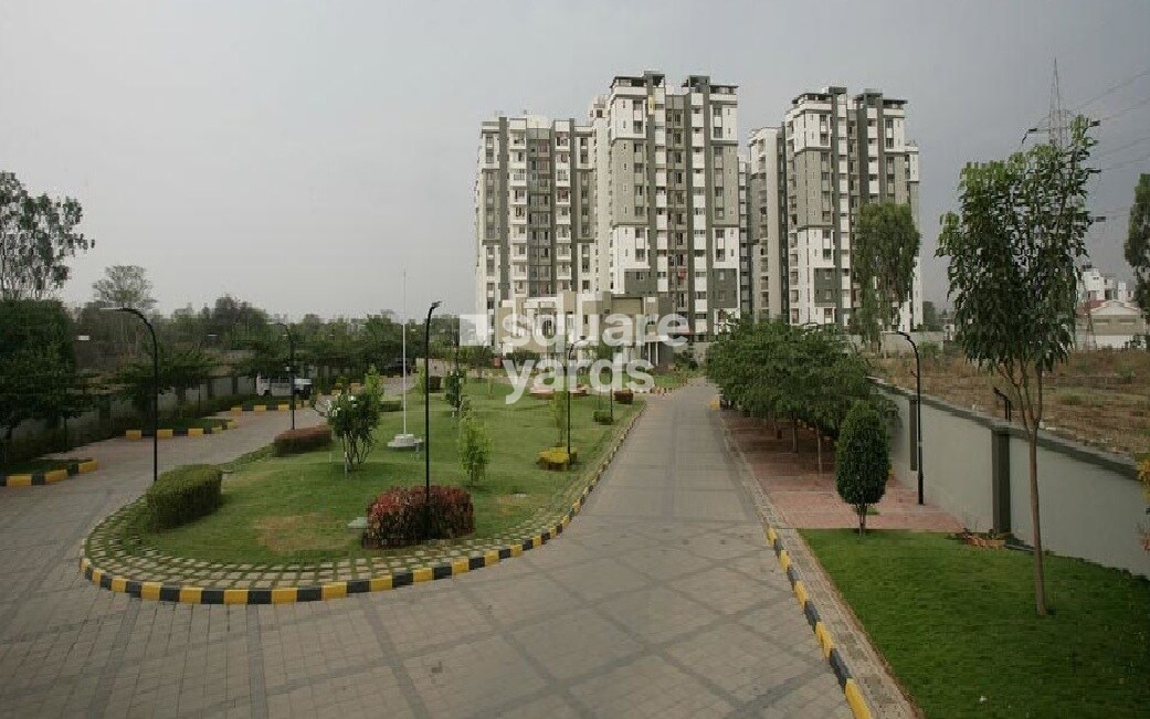 Sobha Daffodil Tower View 1