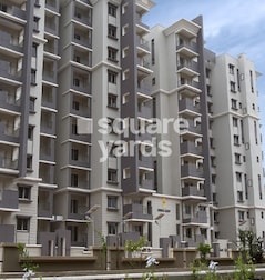 Sobha Daisy Sobha Daisy