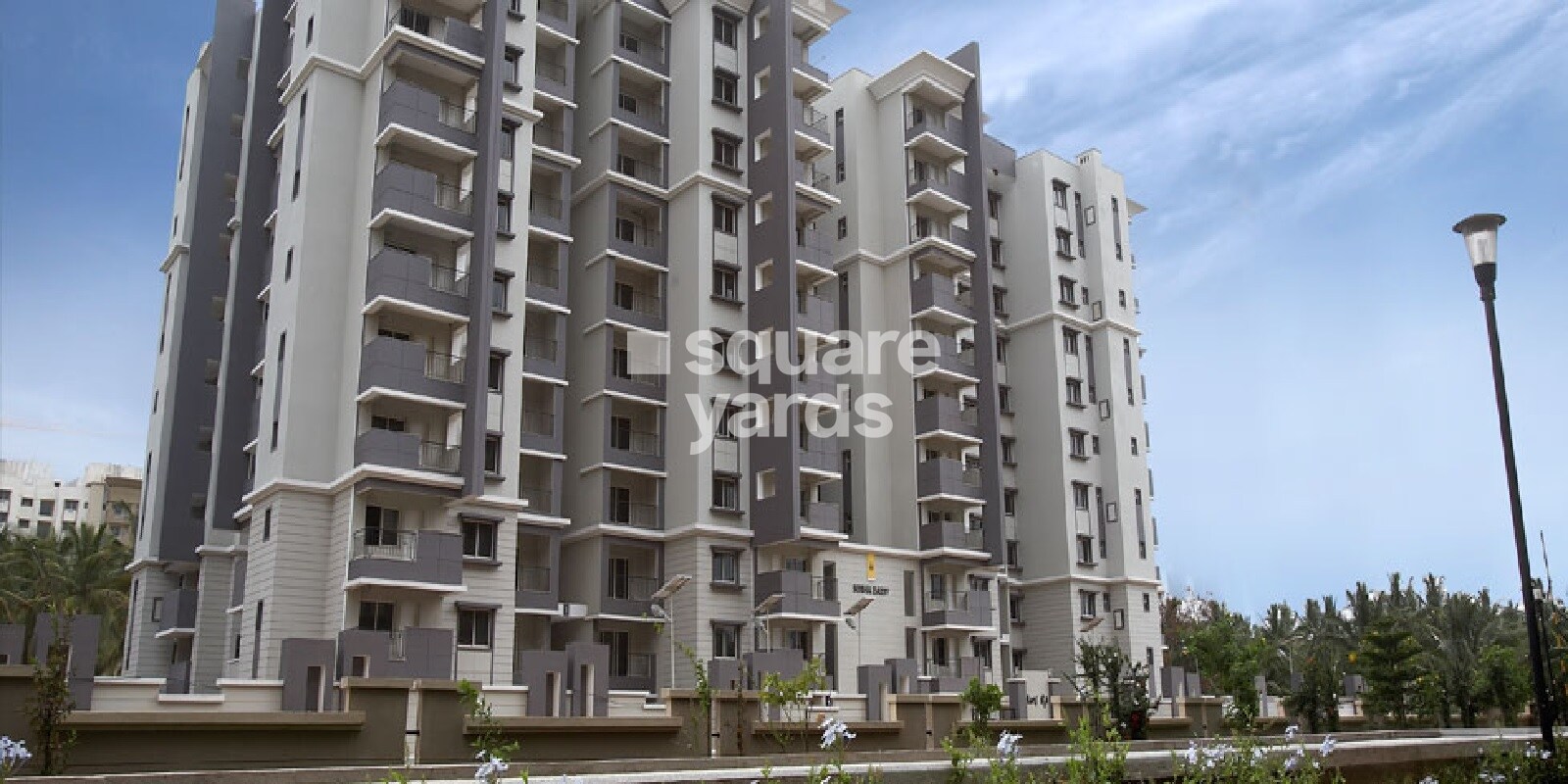 sobha-daisy