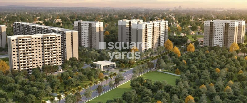 Sobha Dreams 1 Tower View