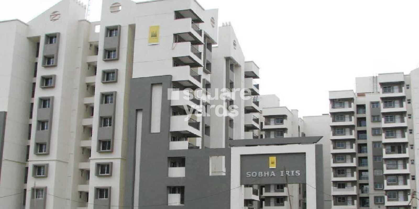Sobha Iris Featured Image