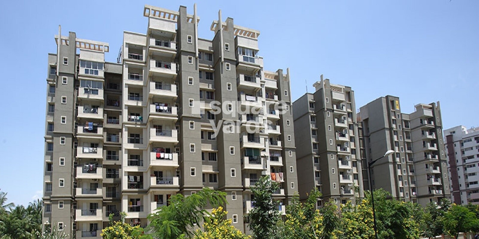 sobha-primrose
