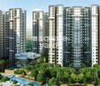 Sobha Rain Forest