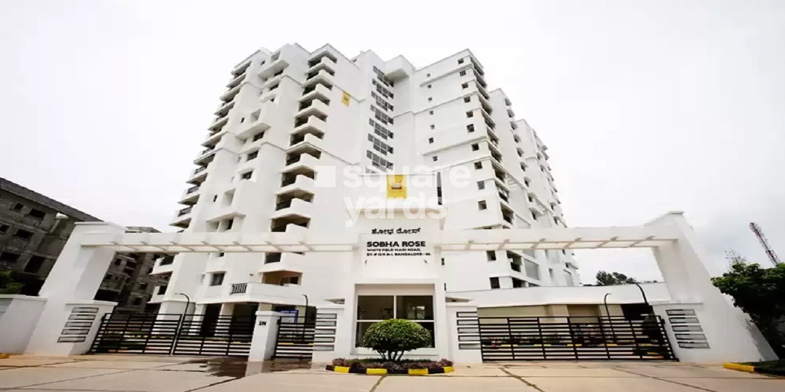 Sobha Rose Featured Image
