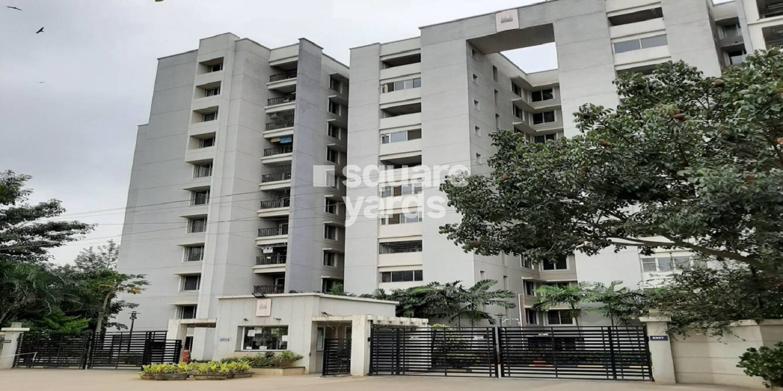 Sobha Saffron Featured Image