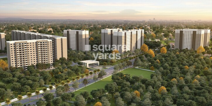 Sobha Tropical Greens Phase 18 Wing 39 And 40 Cover Image