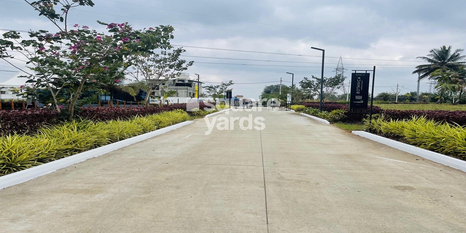 Southwest Botanica Featured Image