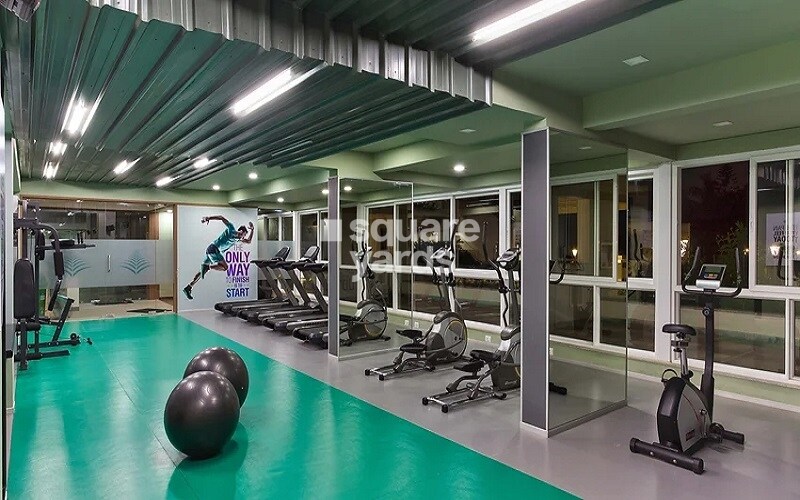 Spectra Palmwoods Gymnasium Image