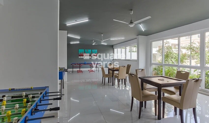 Spectra Palmwoods Sports facilities Image 2