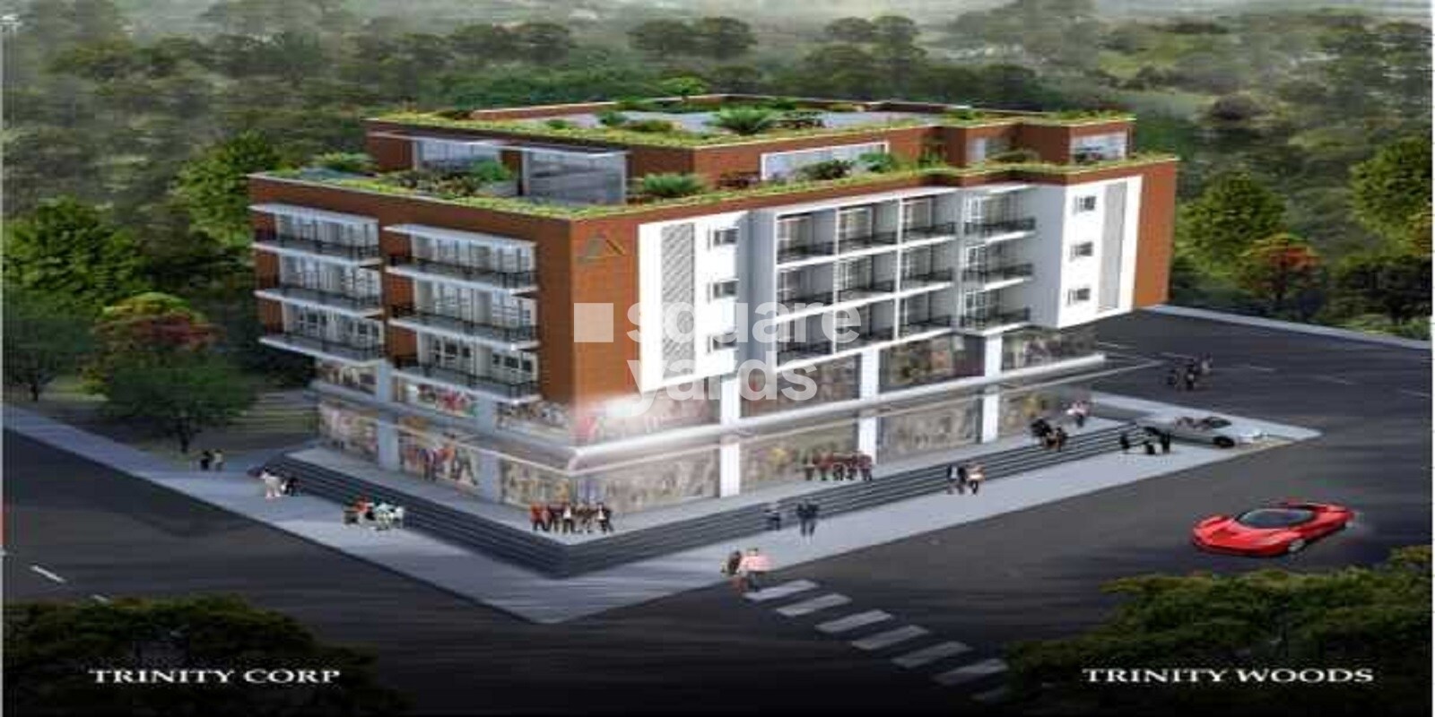 Splendid Trinity Woods