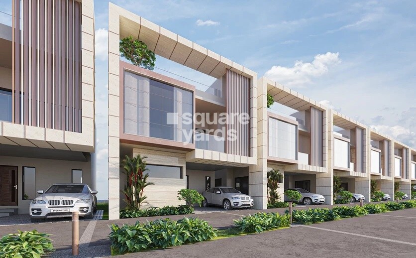 SPT Silverwoods Tower View