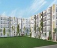 Sraddha White Cliff