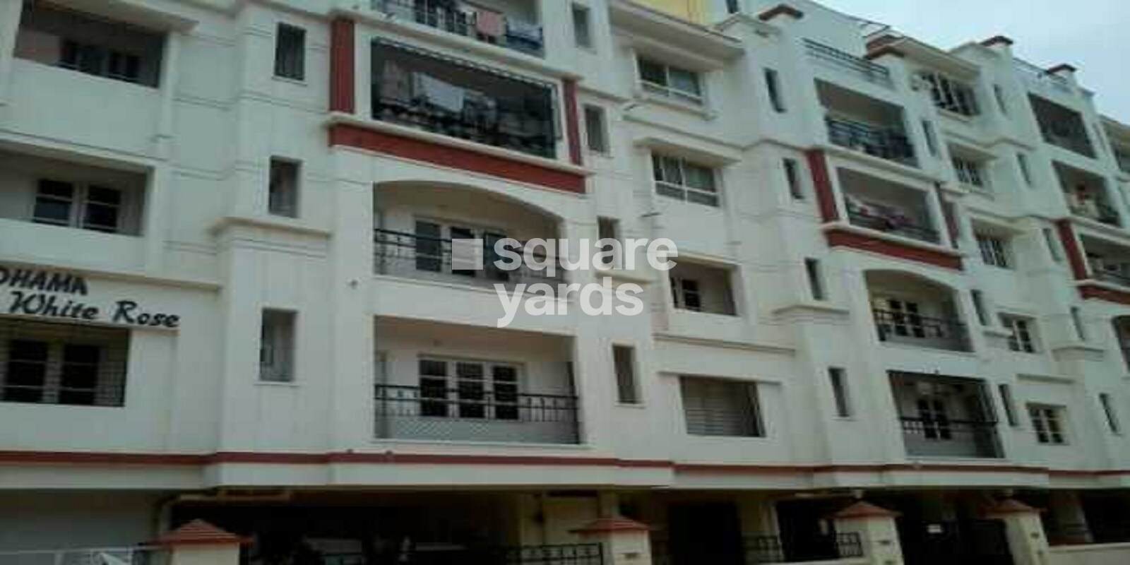 Sree Dhama White Rose